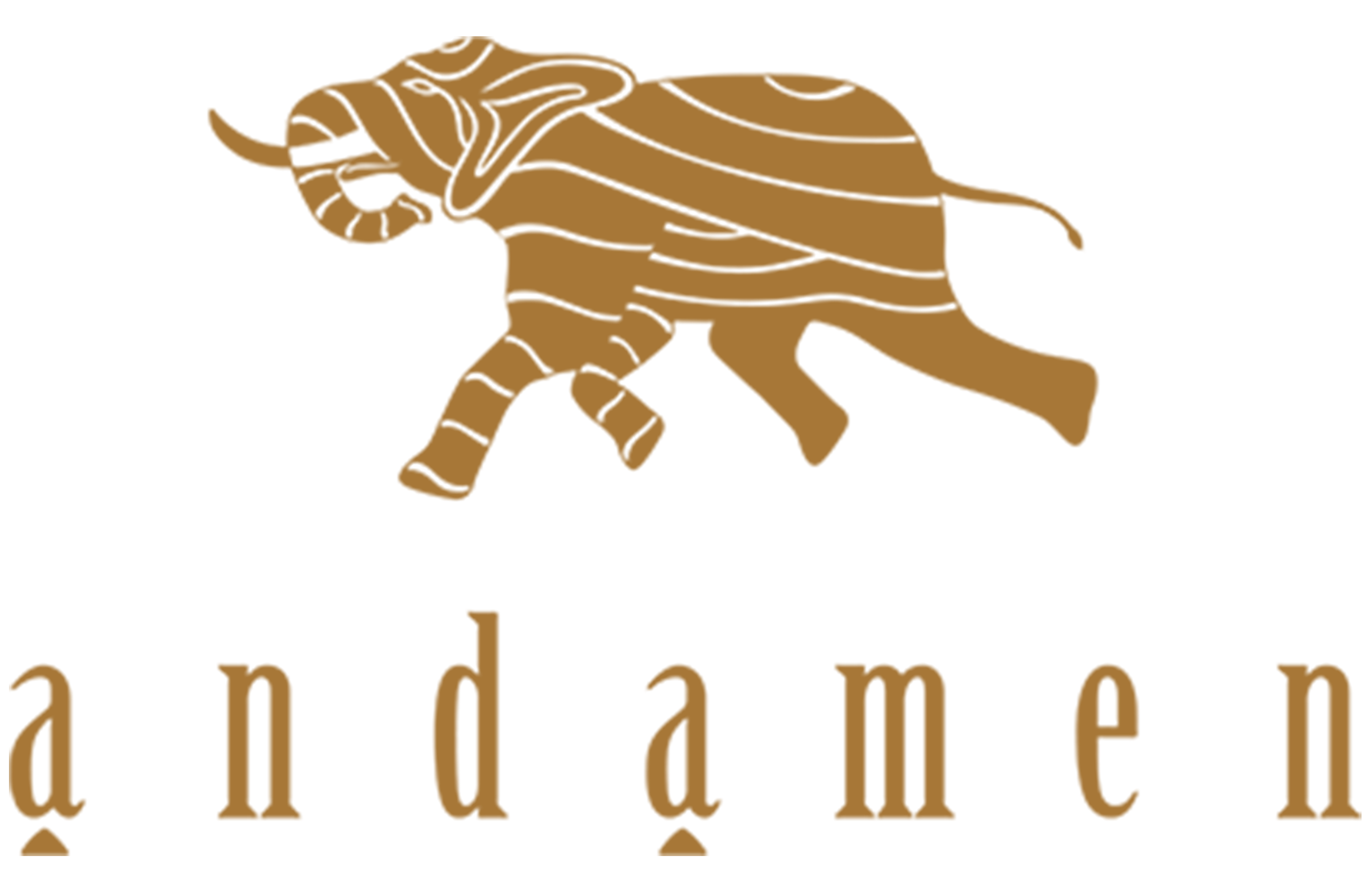 Andamen Logo